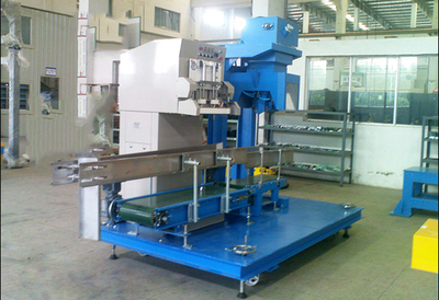 毛重式半自动包装机